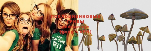 PSILOCYBIN Алзамай