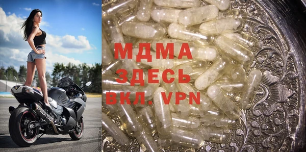 PSILOCYBIN Алзамай