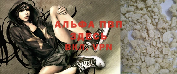 PSILOCYBIN Алзамай
