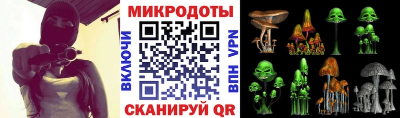 закладки  Топки  Псилоцибиновые грибы GOLDEN TEACHER 
